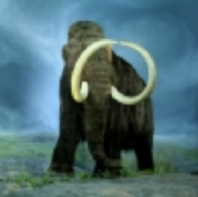 Tüylü Mamut