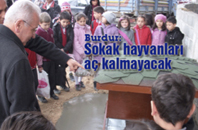 Burdur'da Sokak Hayvanları Aç Kalmayacak