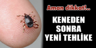 Keneden Sonra Yeni Tehlike!