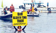 Greenpeace