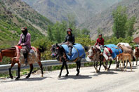 At Sırtında 400 Kilometre