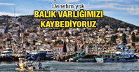 Balık Varlığımızı Kaybediyoruz