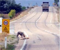 Başında Bekledi