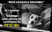 Beni Arabada Bırakma