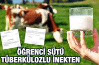 Öğrenci Sütü