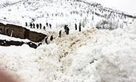 Hakkari'de 80 Hayvan Çığ Altında Kaldı