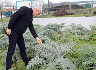 Unutulan Yerli Tohumları Yeniden Üretiyorlar