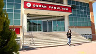 Orman Fakültesi