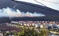 Pendik'te Orman Yangını