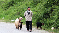 Gümüş, İdris