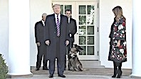 Trump'tan Köpeğe Madalya