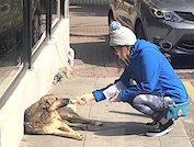 Serap Tibuk Sokak Hayvanlarını Beslerken